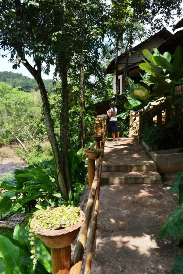 Hot Coffee Guest House And Resort Ban Mae Na Chon Exteriér fotografie