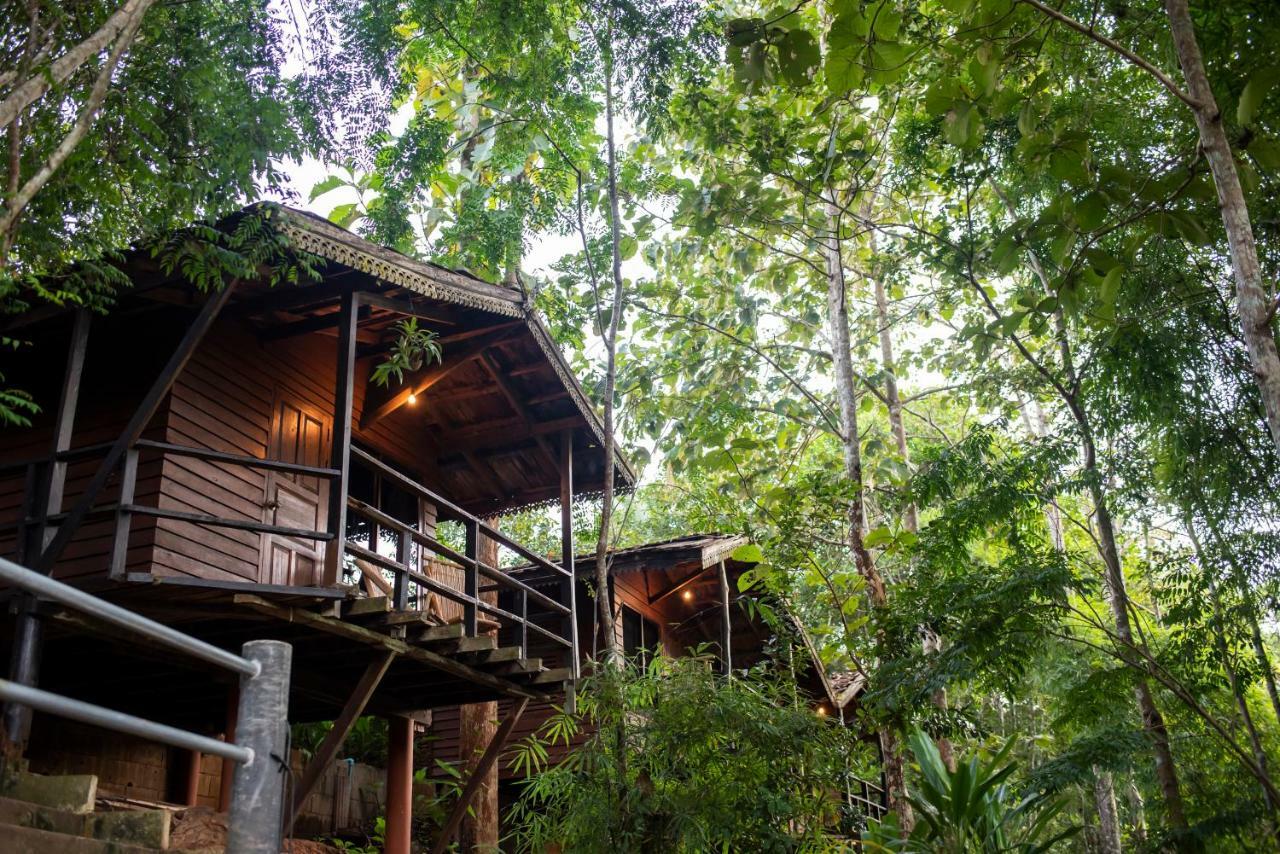 Hot Coffee Guest House And Resort Ban Mae Na Chon Exteriér fotografie