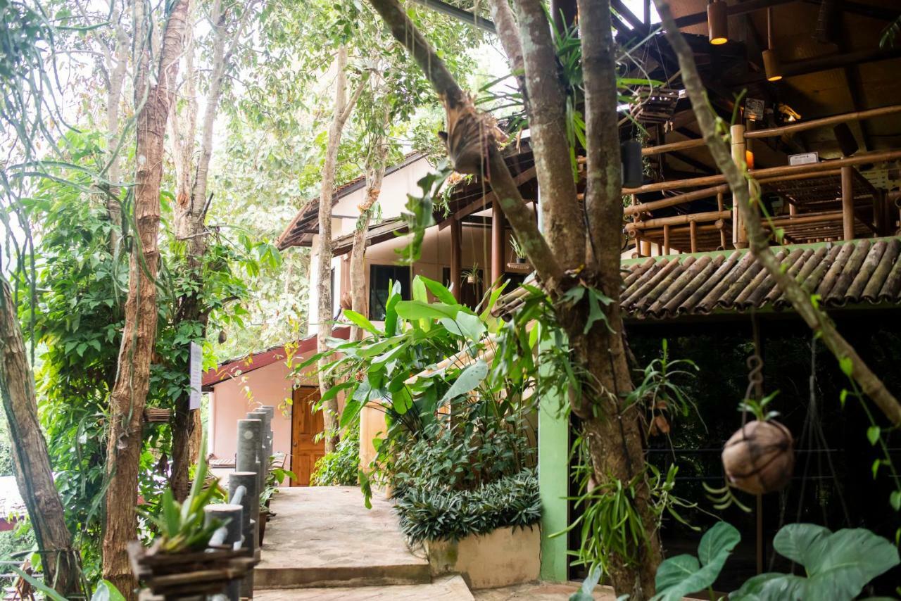 Hot Coffee Guest House And Resort Ban Mae Na Chon Exteriér fotografie