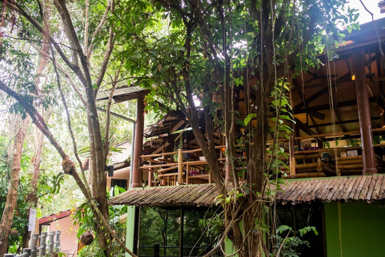 Hot Coffee Guest House And Resort Ban Mae Na Chon Exteriér fotografie